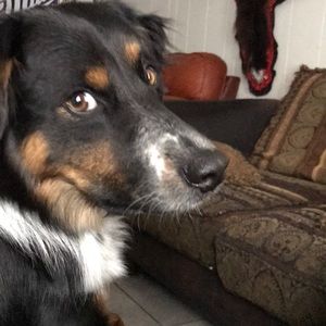 Meet your Posher, Leeland